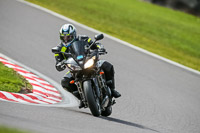 Oulton-Park-21st-March-2020;PJ-Motorsport-Photography-2020;anglesey;brands-hatch;cadwell-park;croft;donington-park;enduro-digital-images;event-digital-images;eventdigitalimages;mallory;no-limits;oulton-park;peter-wileman-photography;racing-digital-images;silverstone;snetterton;trackday-digital-images;trackday-photos;vmcc-banbury-run;welsh-2-day-enduro